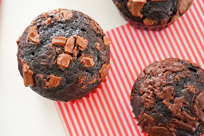 muffins chocolat cacao