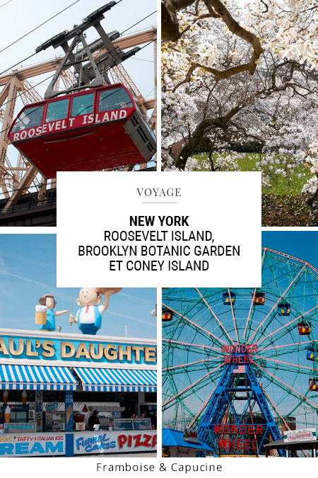 New York Coney Island