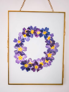 DIY herbier fleurs