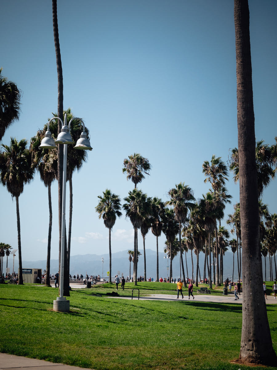 Californie Los Angeles Venice Beach