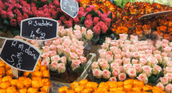 Visiter le marché de Rungis, c’est possible !
