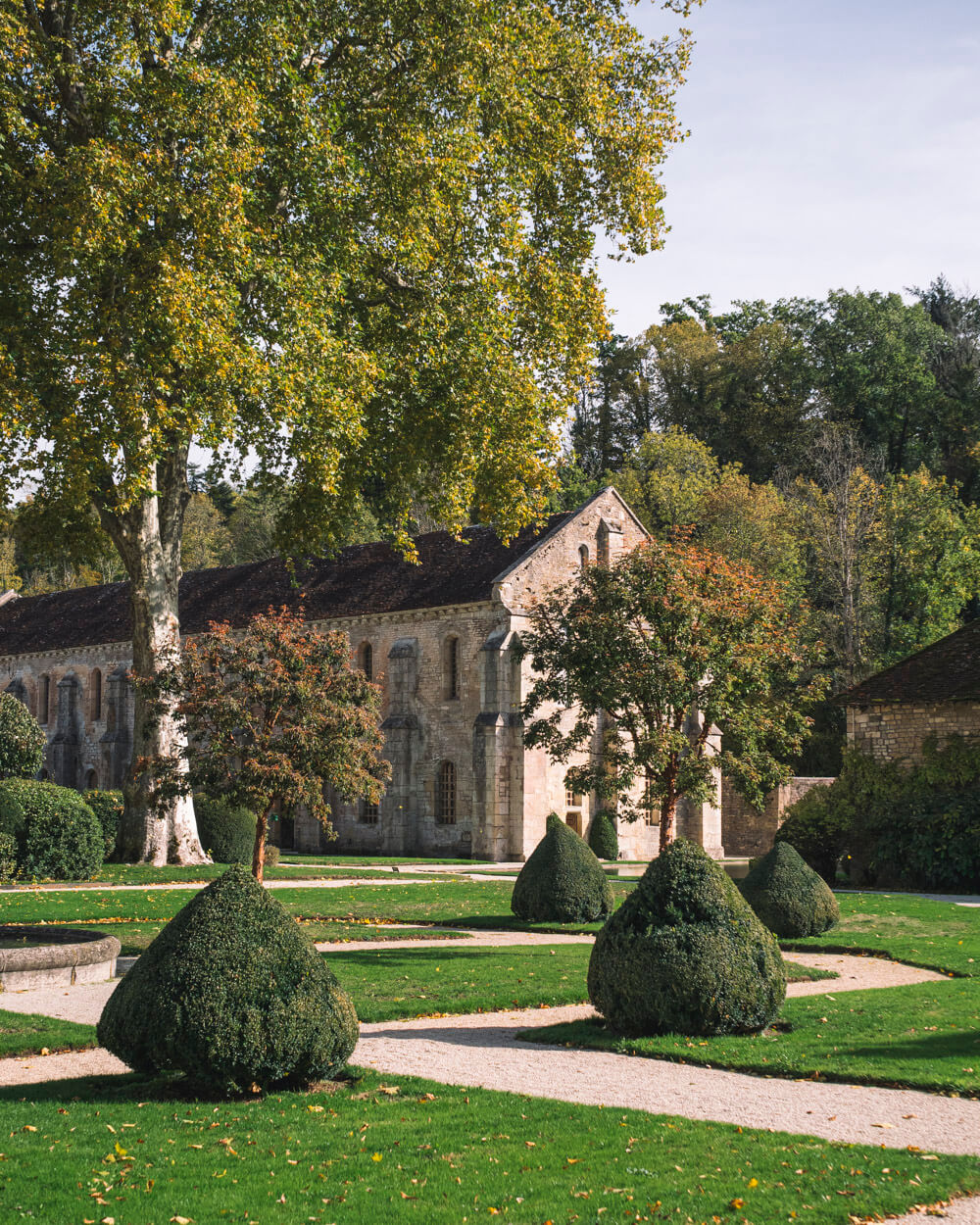 Abbaye de Fontenay jardin visite