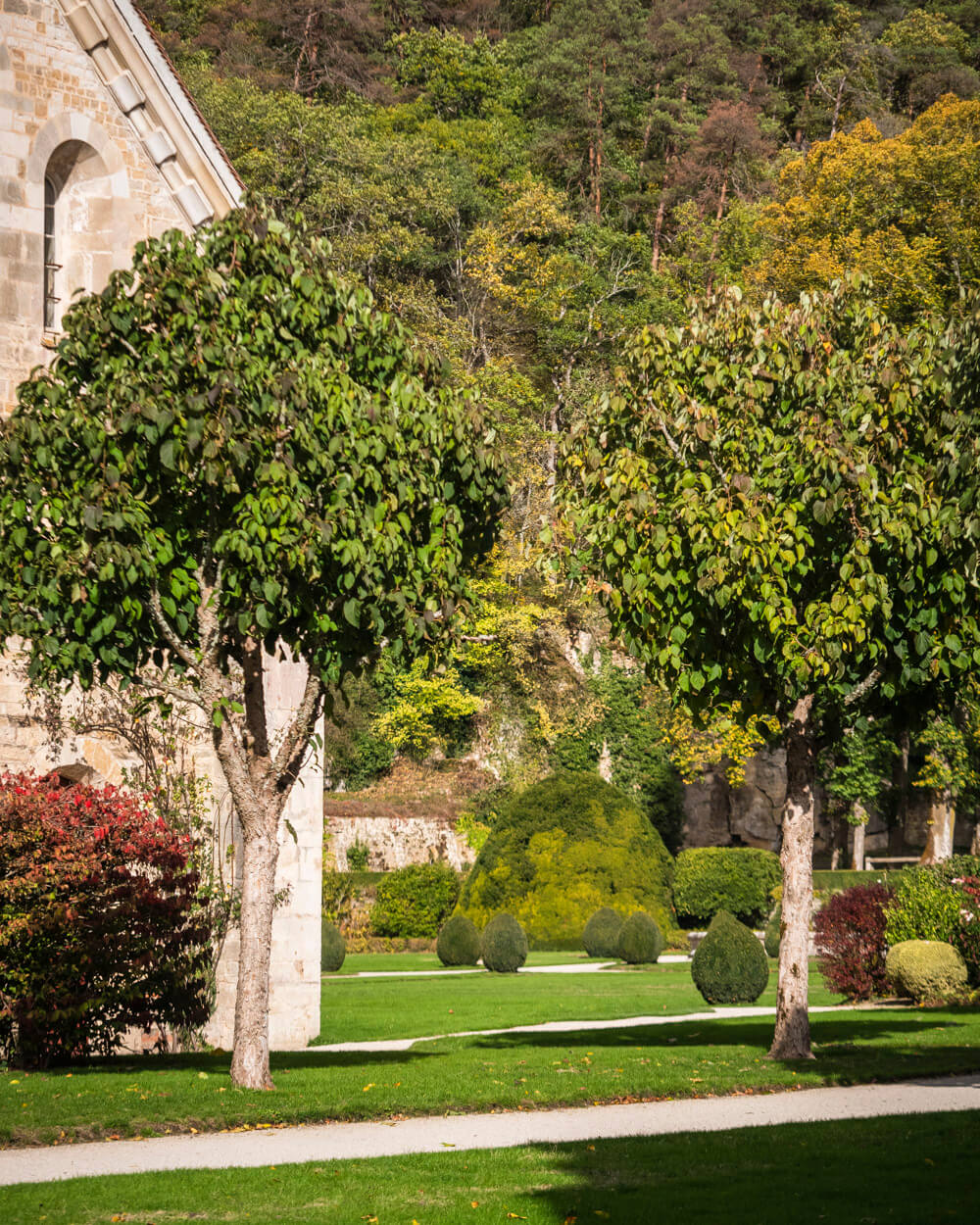 Abbaye de Fontenay jardin des simples visite