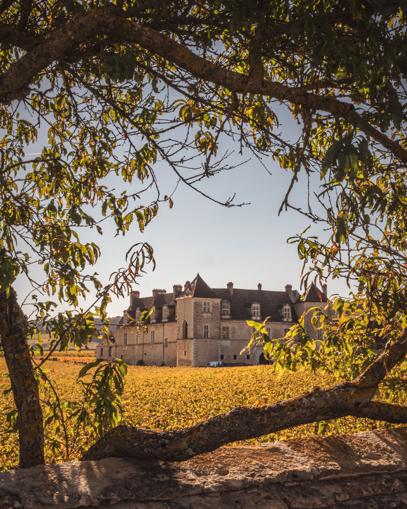 Château du Clos de Vougeot en automne