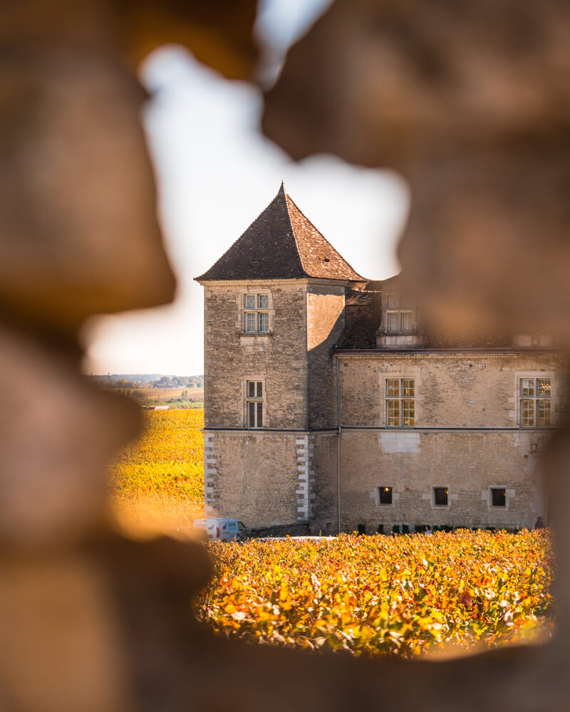 Château du Clos de Vougeot automne