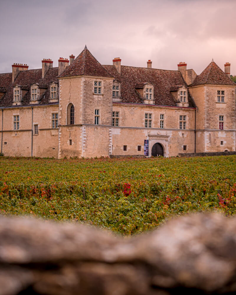 Château du Clos de Vougeot visite