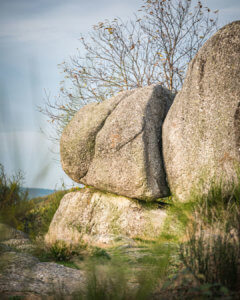 111 lieux en Bourgogne à ne pas manquer guide touristique menhir