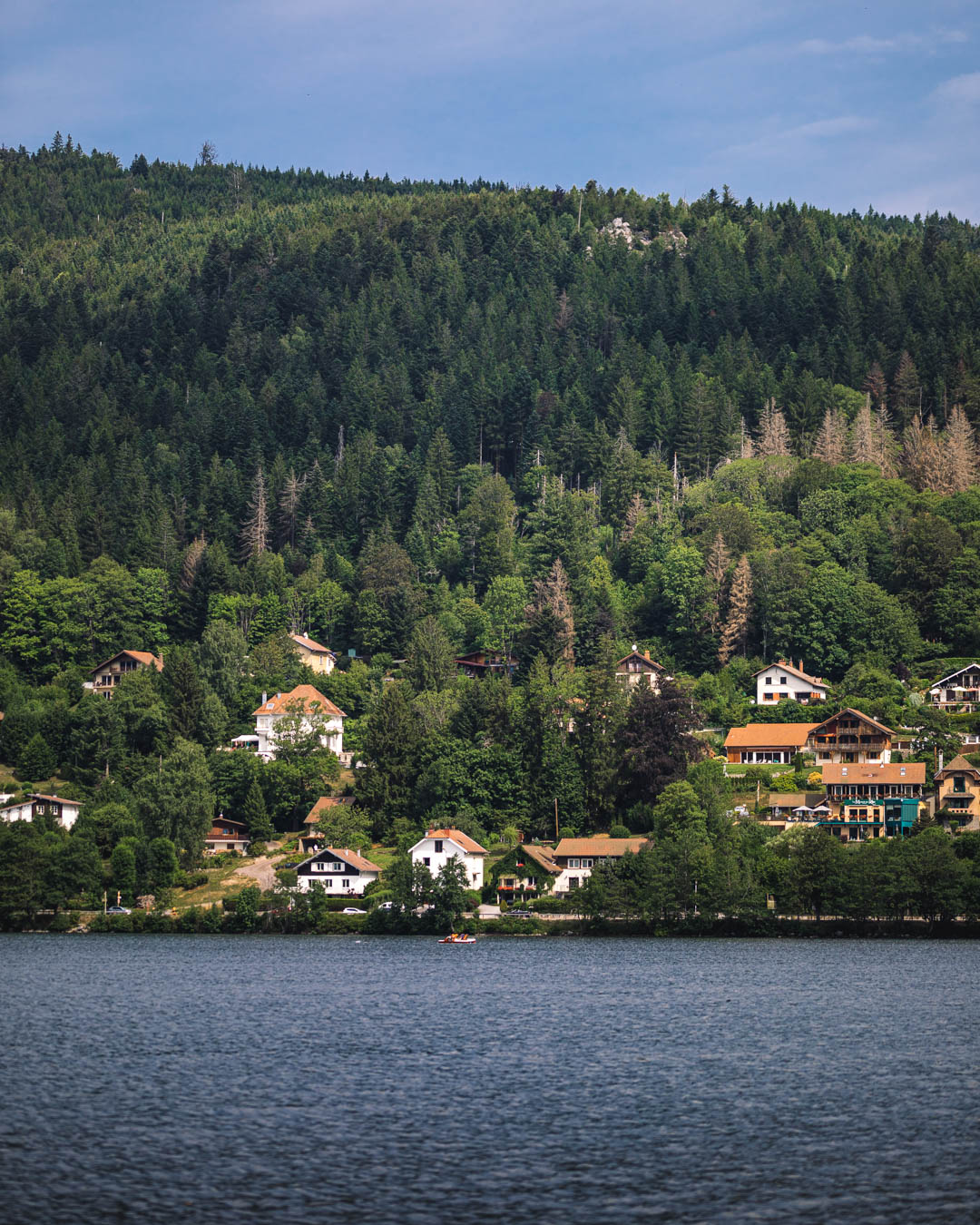 vue sur Gérardmer, son lac et la forêt de sapins