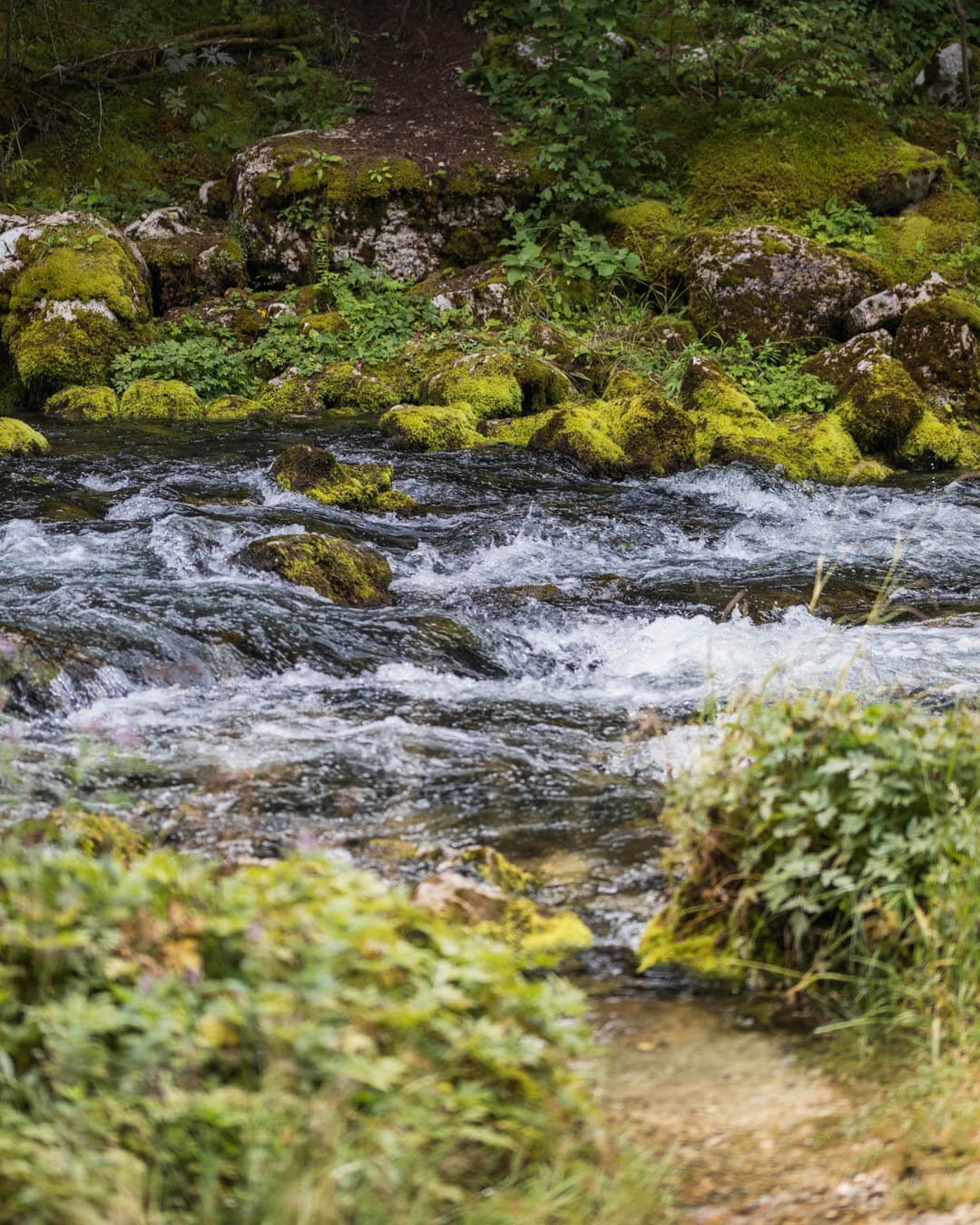 Mouthe Source du Doubs