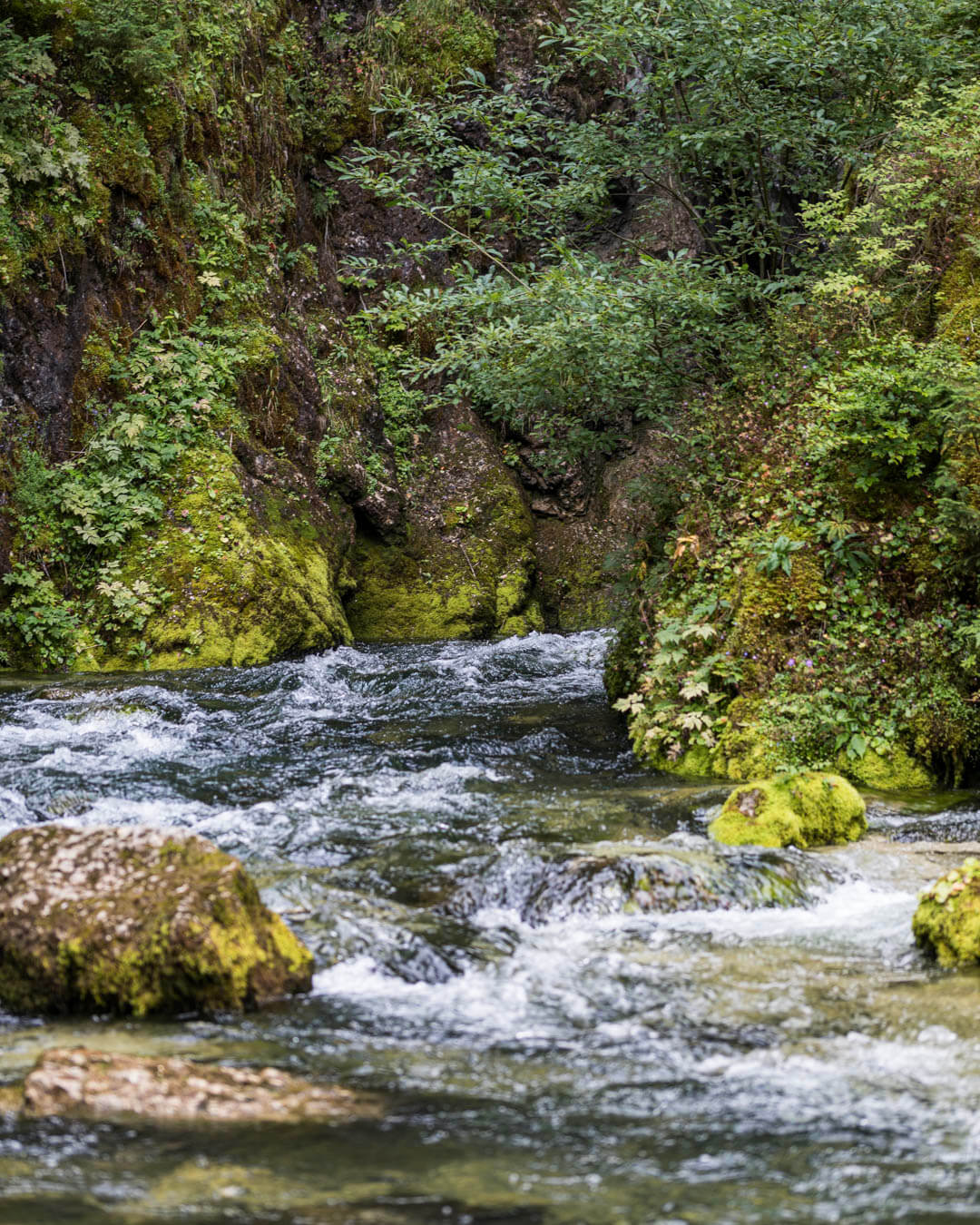 Mouthe Source du Doubs