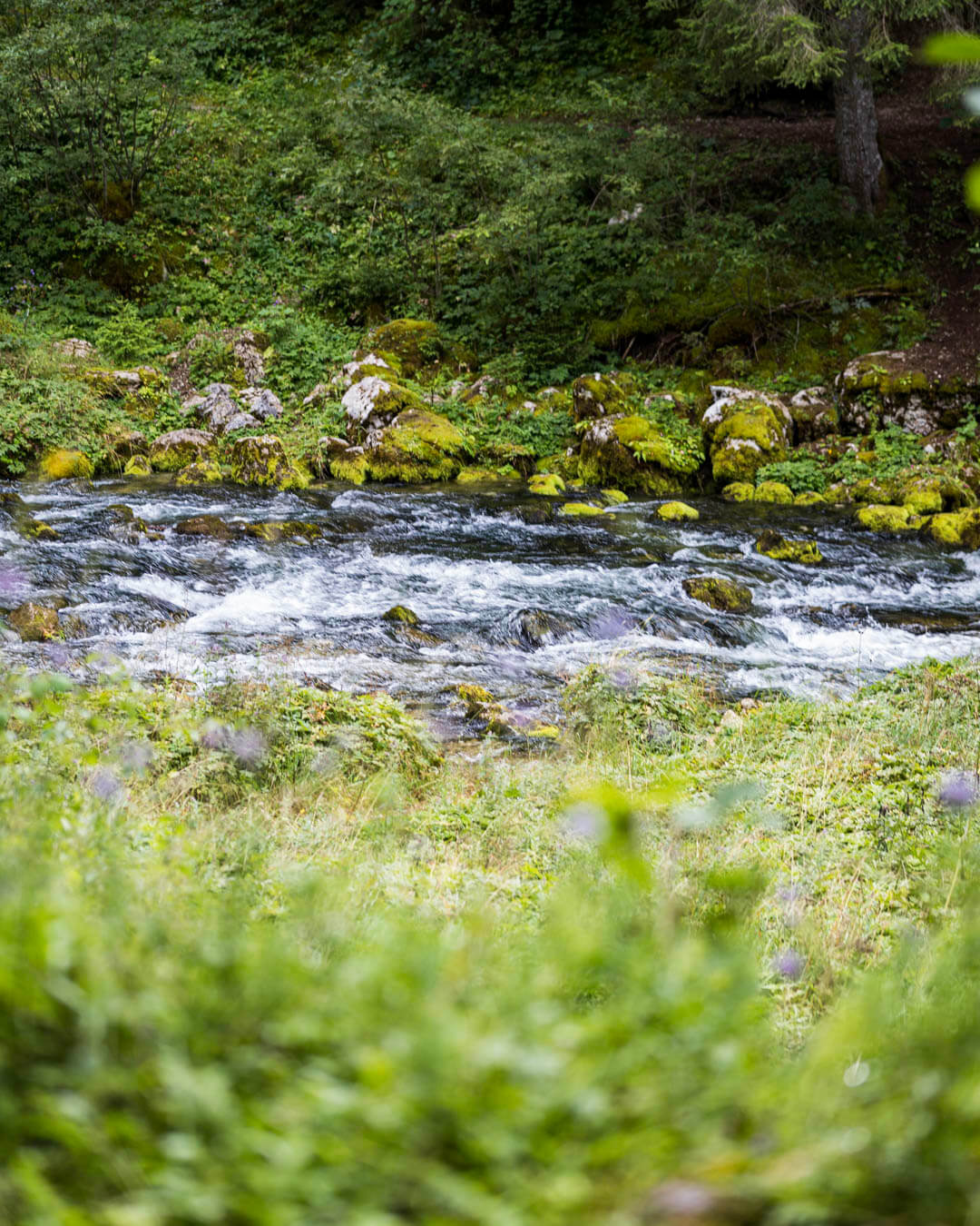 Mouthe Source du Doubs