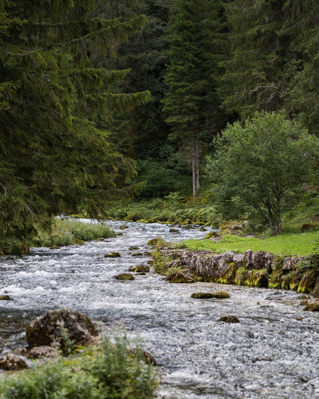 Mouthe Source du Doubs