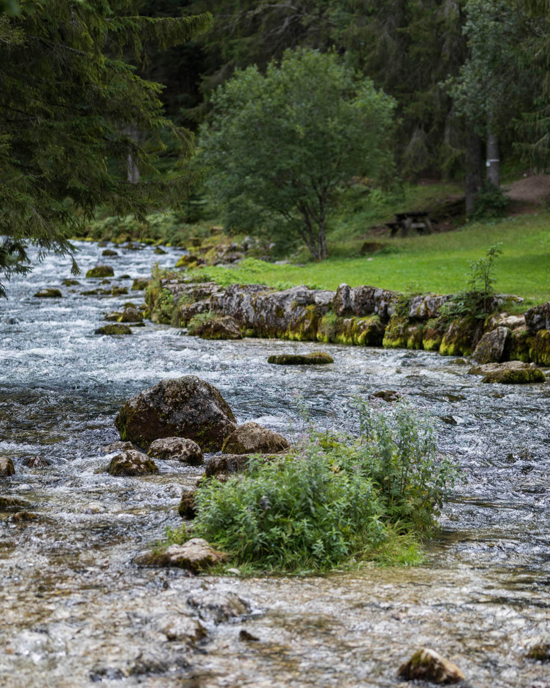 Mouthe Source du Doubs