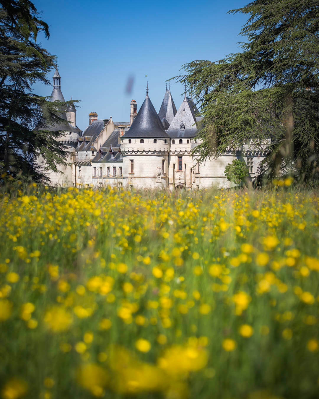 Domaine de Chaumont-sur-Loire