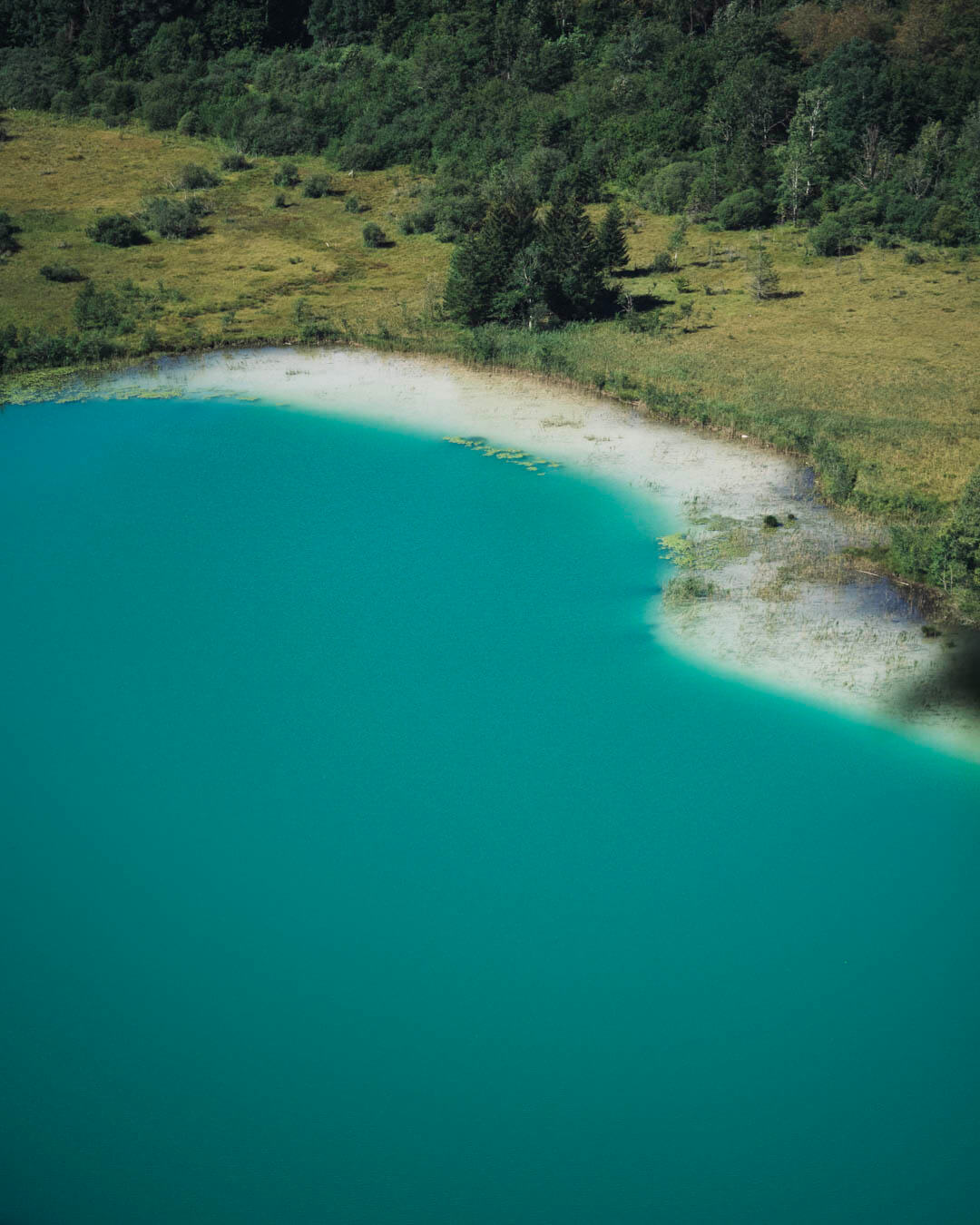 Belvédère des 4 Lacs dans le Jura : un coin de paradis au cœur de la nature