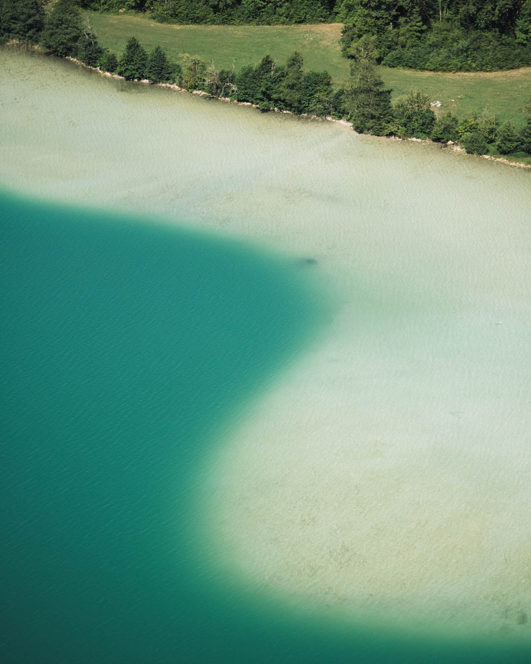 Belvédère des 4 Lacs dans le Jura : un coin de paradis au cœur de la nature